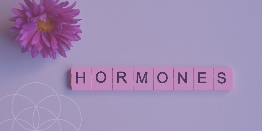 Garnet Moon Denver Functional Medicine and Hormone Balance. Lindsay Goodwin Fertility & Hormone Expert.