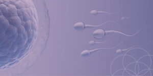 Does acupuncture increase IVF success rates? Garnet Moon Denver.