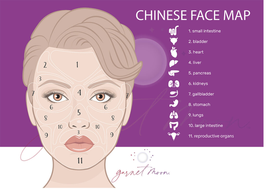 Garnet Moon Denver Face Mapping for skincare and revitalized health!